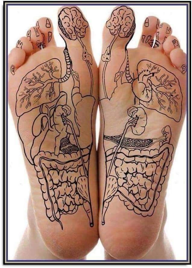 photo seance LAVOISIER LEHINGUE