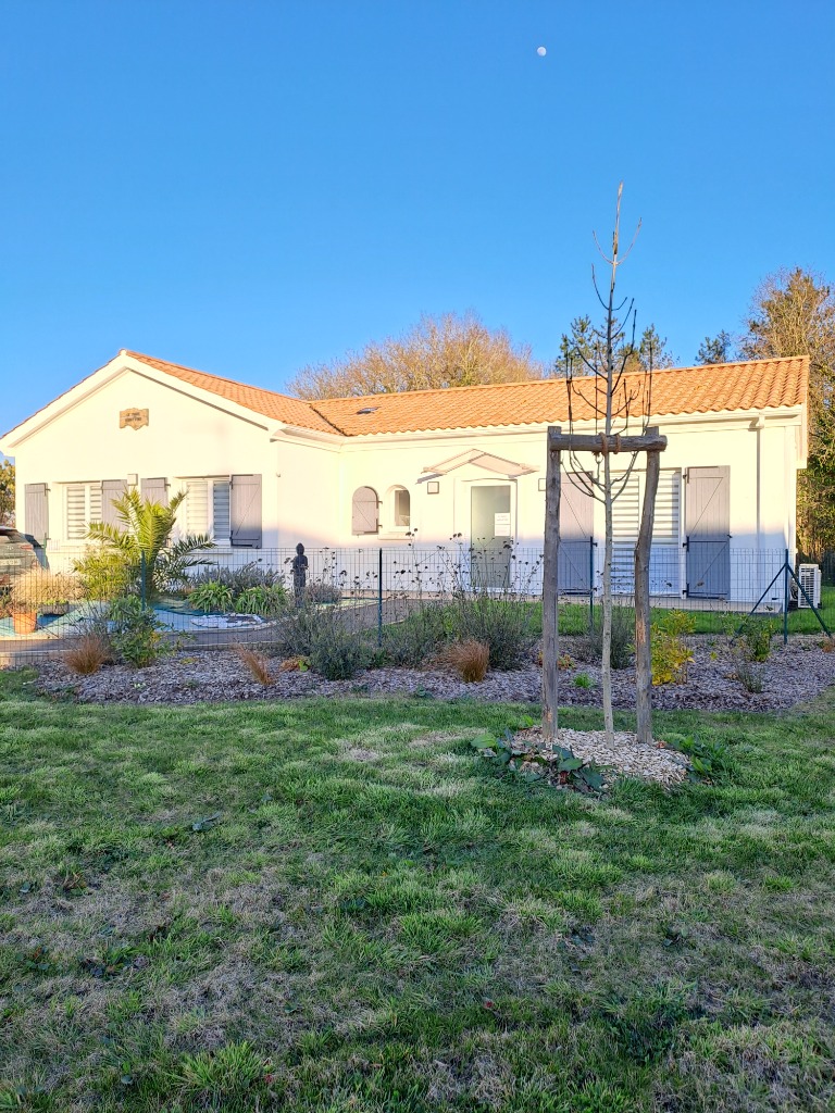 photo cabinet Laura Guillemot