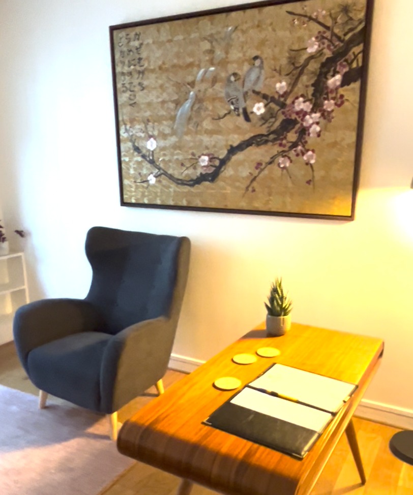 photo seance Josephine Iannuzzelli - Cabinet Promesses Pour Soi