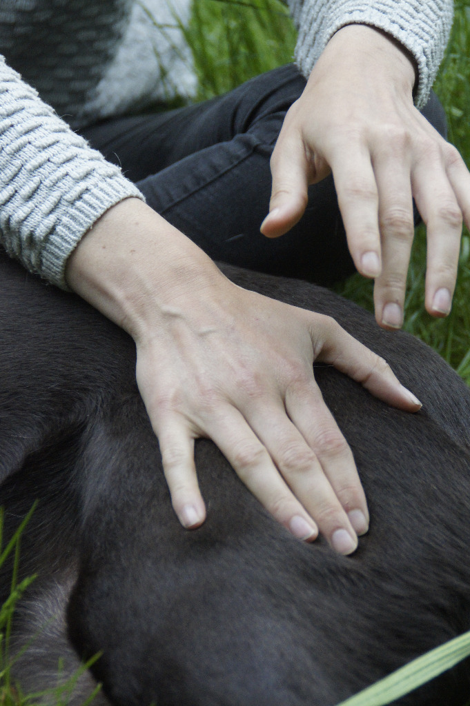 photo seance Mélina Bentejac