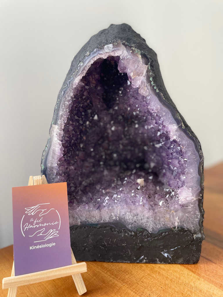 photo cabinet Harmonie Beyer