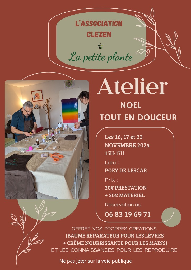 photo activite La petite plante