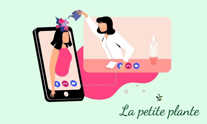 photo cabinet La petite plante