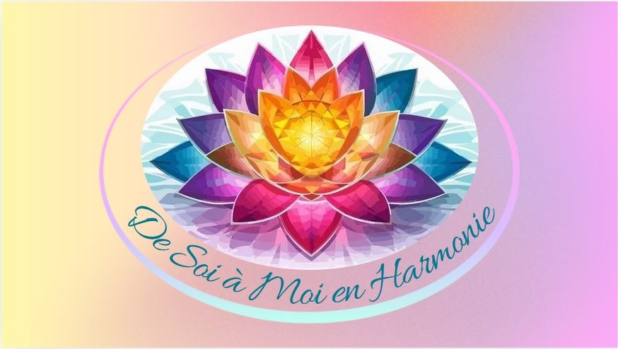 photo cabinet Aurelie Galland