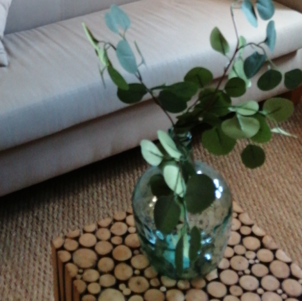 Cabinet Corinne Domer