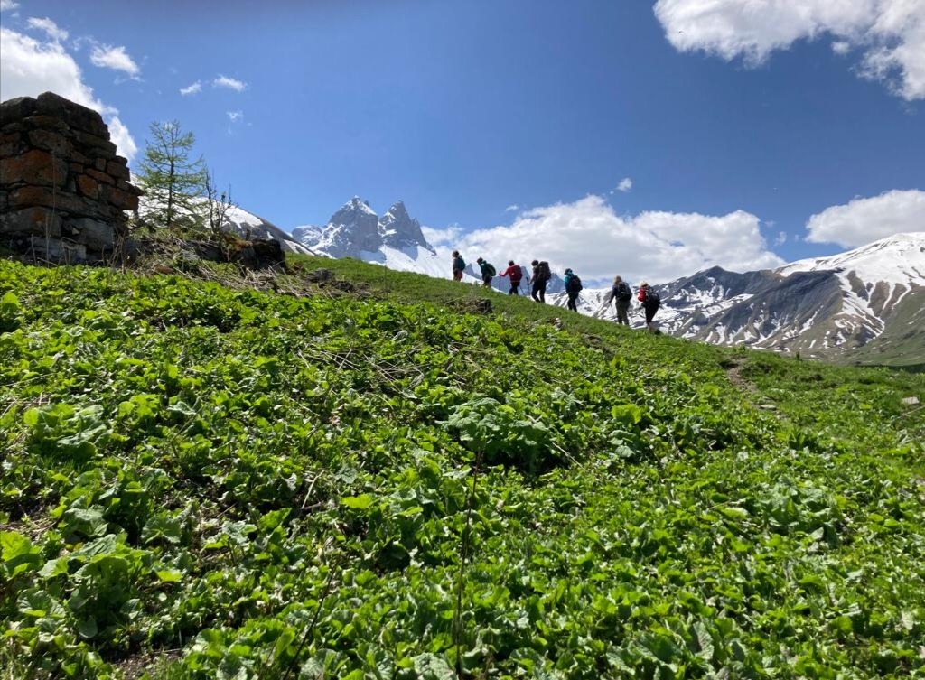 photo activite Marjorie Massonnat