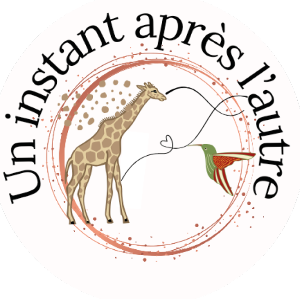 Un Instant Après L’Autre Hélène Thibault