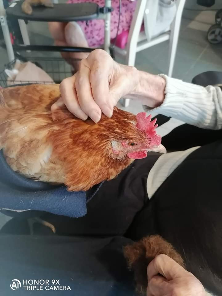 photo activite Lien Nature etcetera