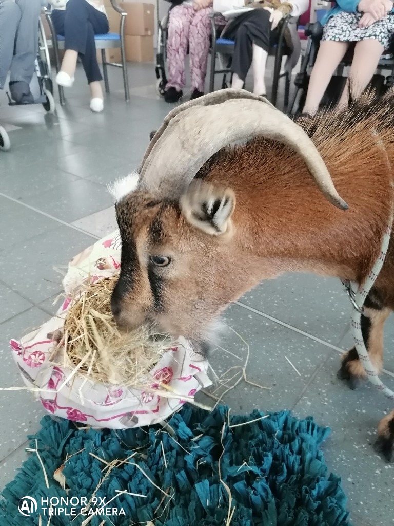 photo portrait Lien Nature etcetera