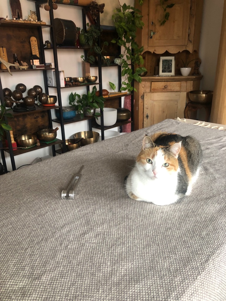 photo cabinet Clarissa Imperatore