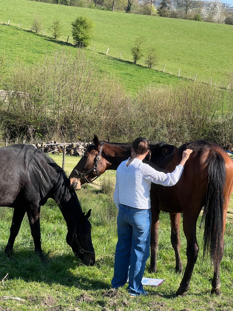 photo activite Jeannèle Sculfort