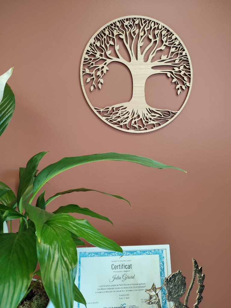 photo diplome Les Sens de la Vie-Hypnose Mixte par Julia GERARD