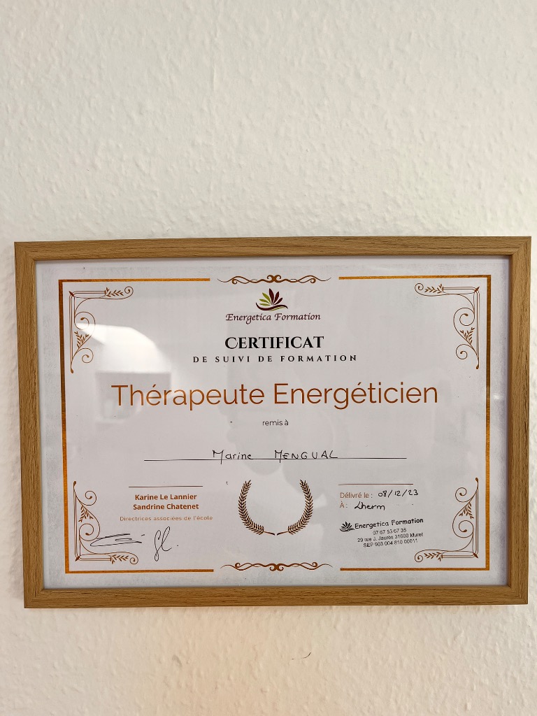 photo diplome Marine Mengual Energetique 31
