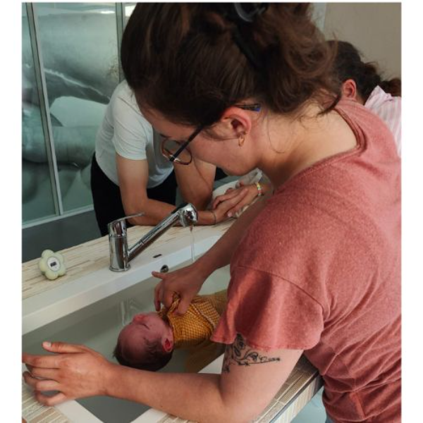 Julie Papin - Le Cocon de Lili