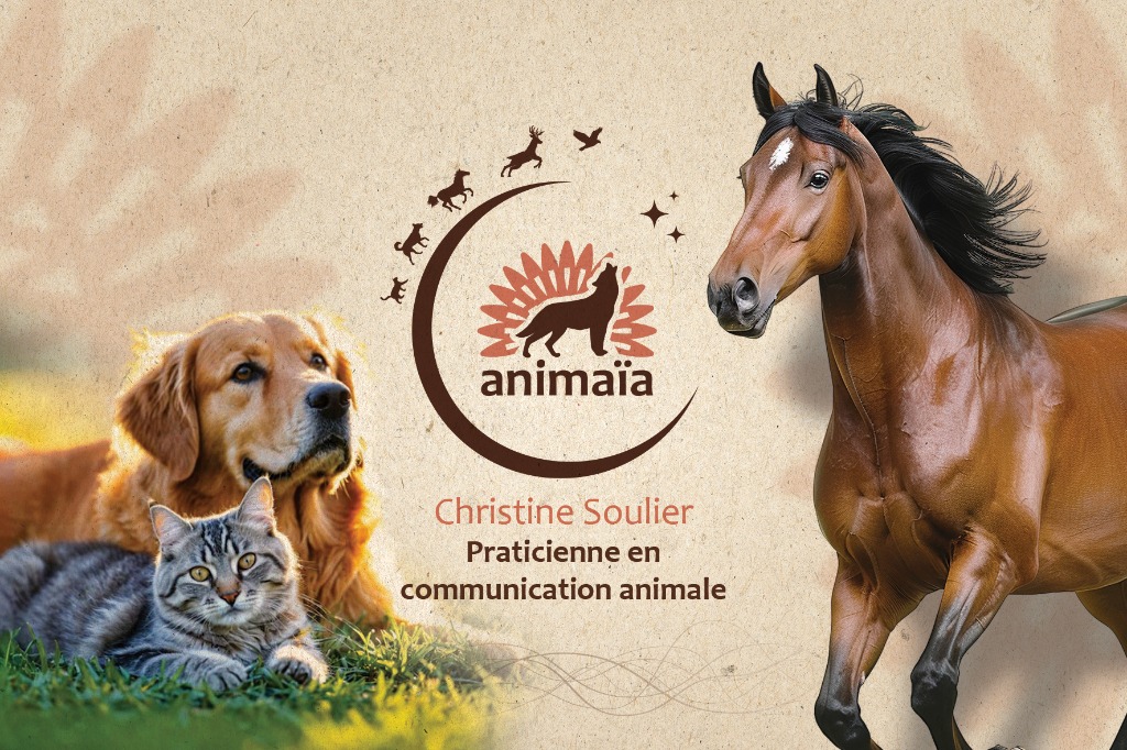 photo activite CHRISTINE SOULIER