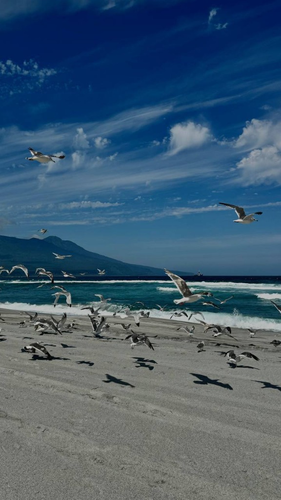 photo activite Natalia Goldina