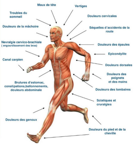 photo diplome GuessyTherapy