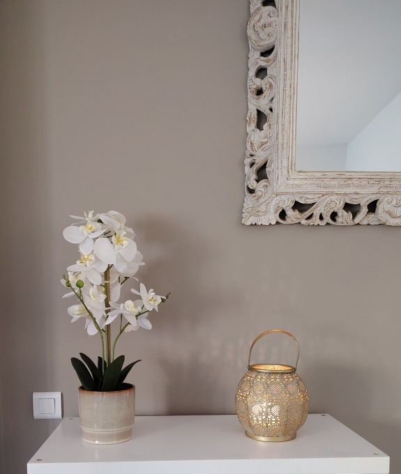 photo activite Kuikstra Sonja