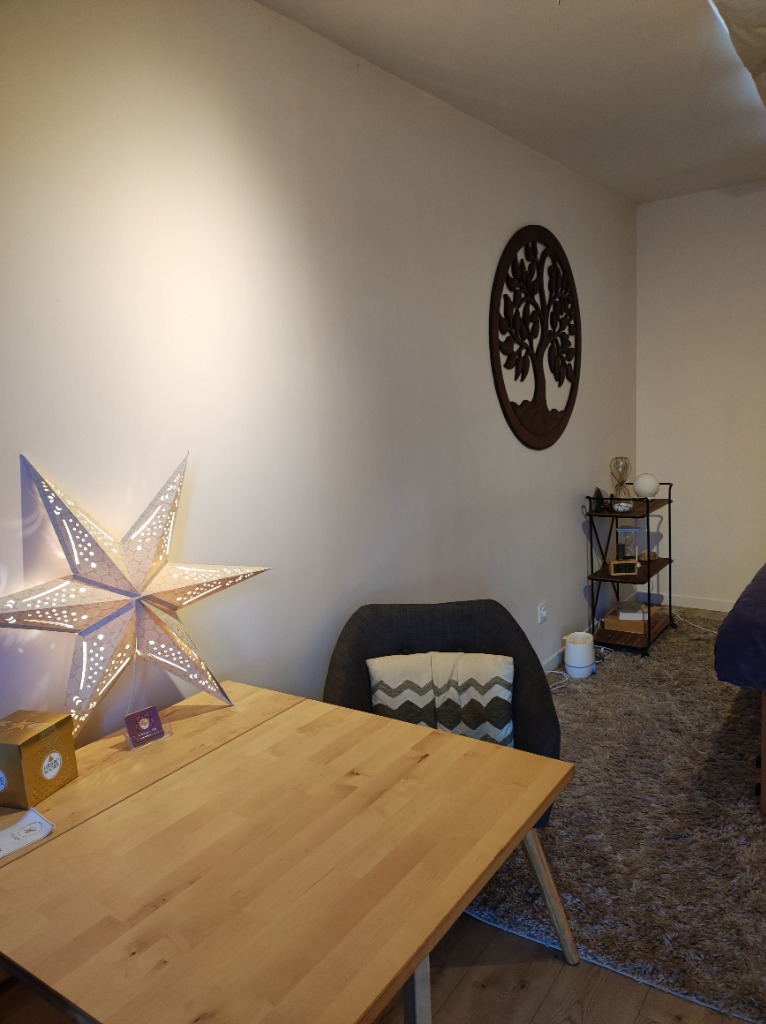 photo cabinet LE PHOENIX SACRE