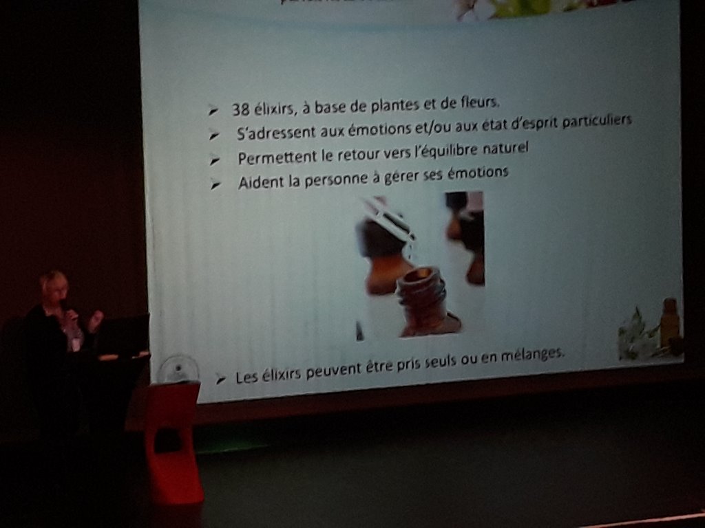 photo activite BRUNAULT Marie-Christine