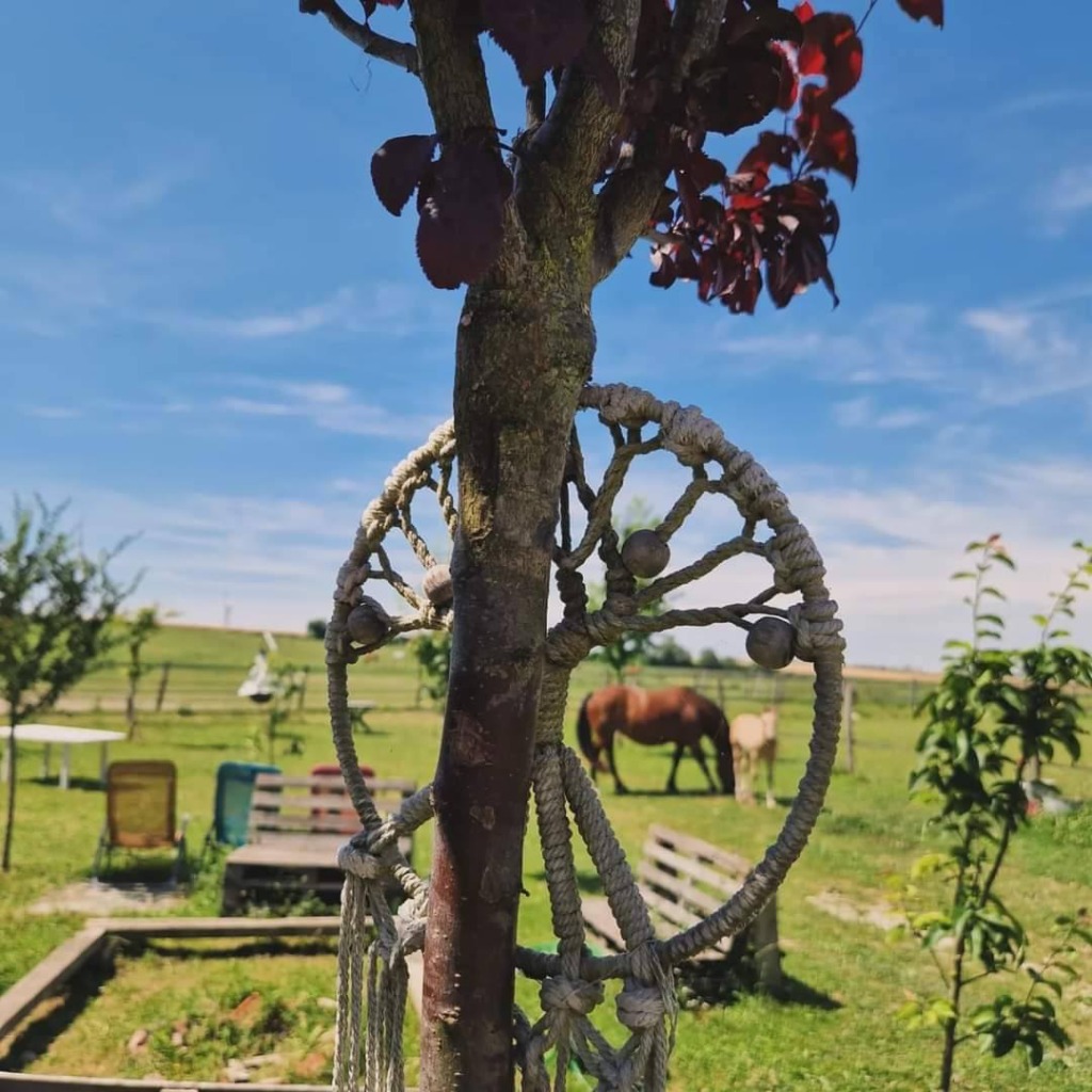 photo seance CHARLOTTE MASSERON