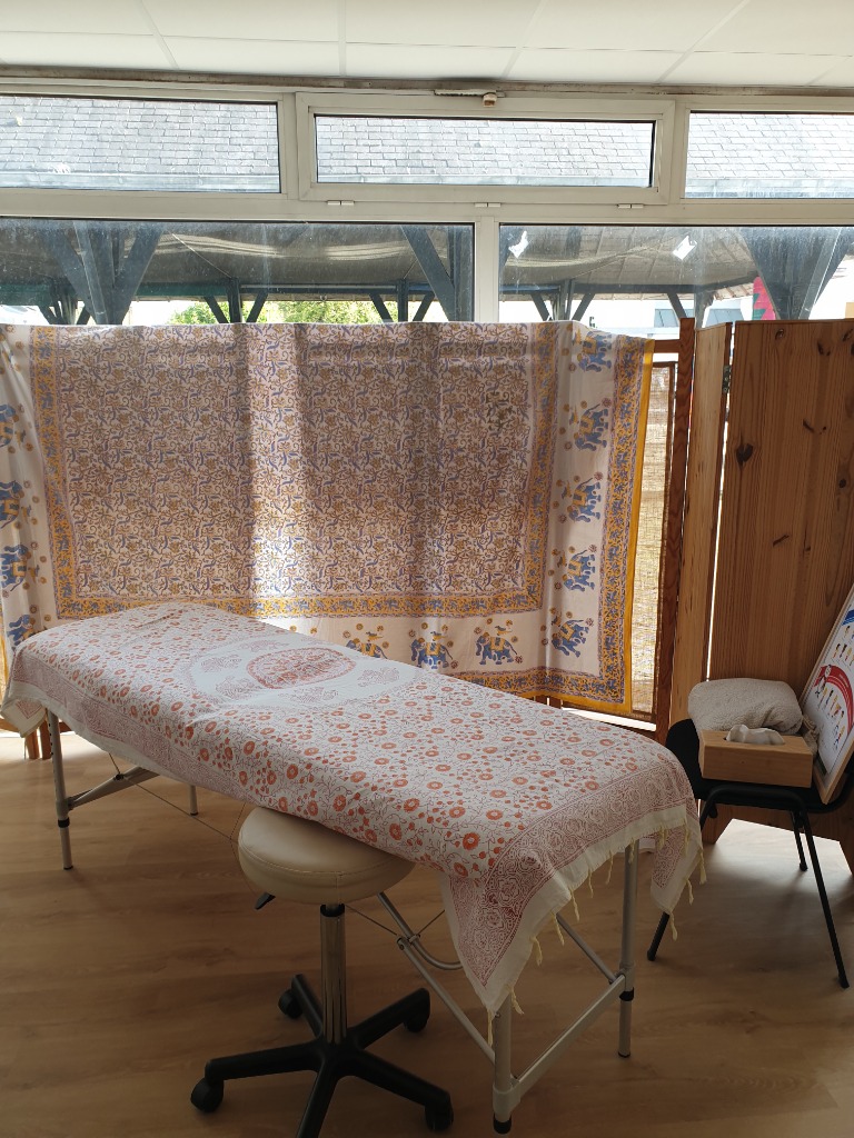 photo seance Antoinette Kinésiologie