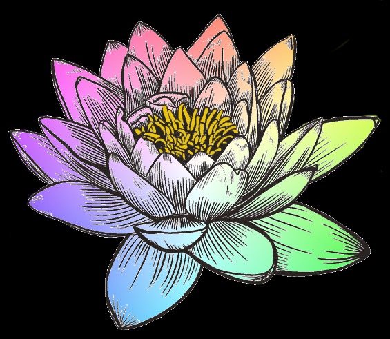 photo activite Nathalie Leroy