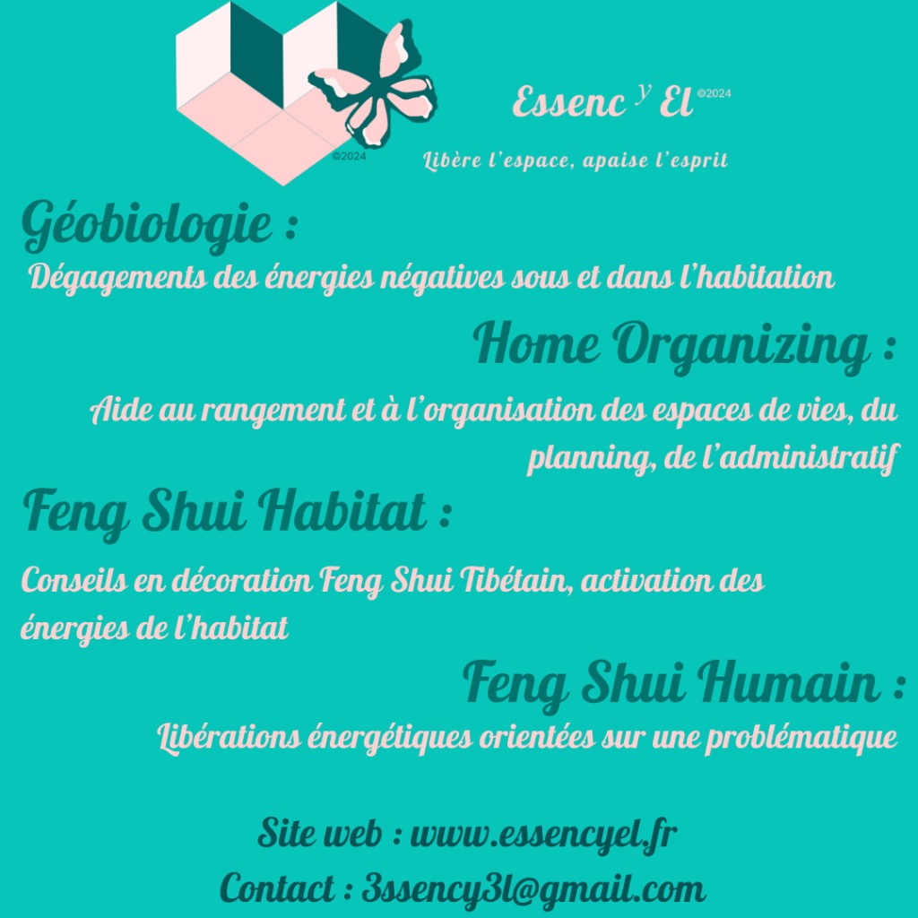 photo activite EssencyEl