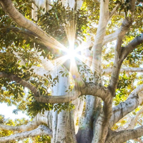 Raphaël Formations Hypno-énergétiques
