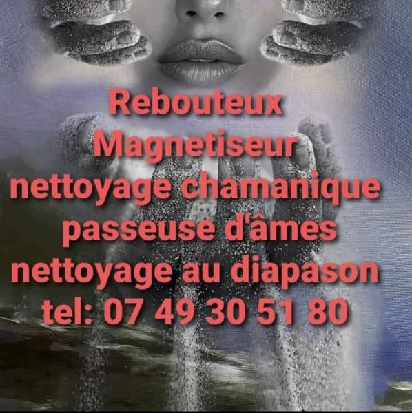 Rebouteux Magnetiseur