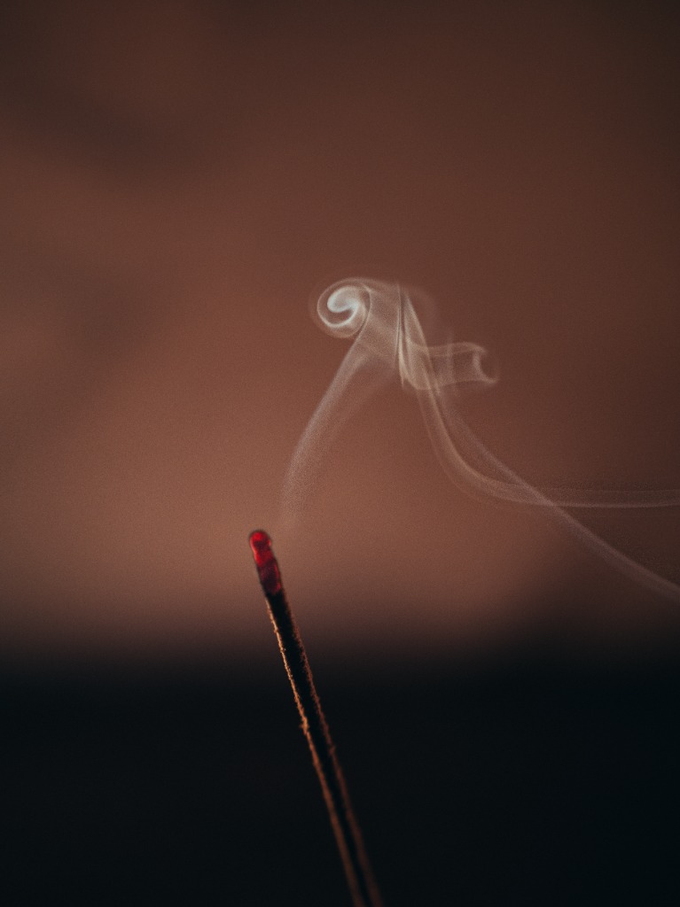 photo activite Vanessa prudent