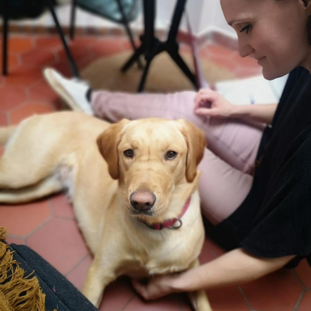 photo cabinet Maureen Gélin - La Main et la Patte