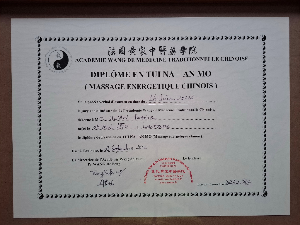 photo diplome Patrice ULIAN