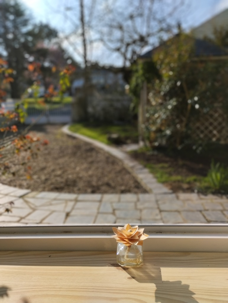 photo cabinet Emilie BOCHEREAU