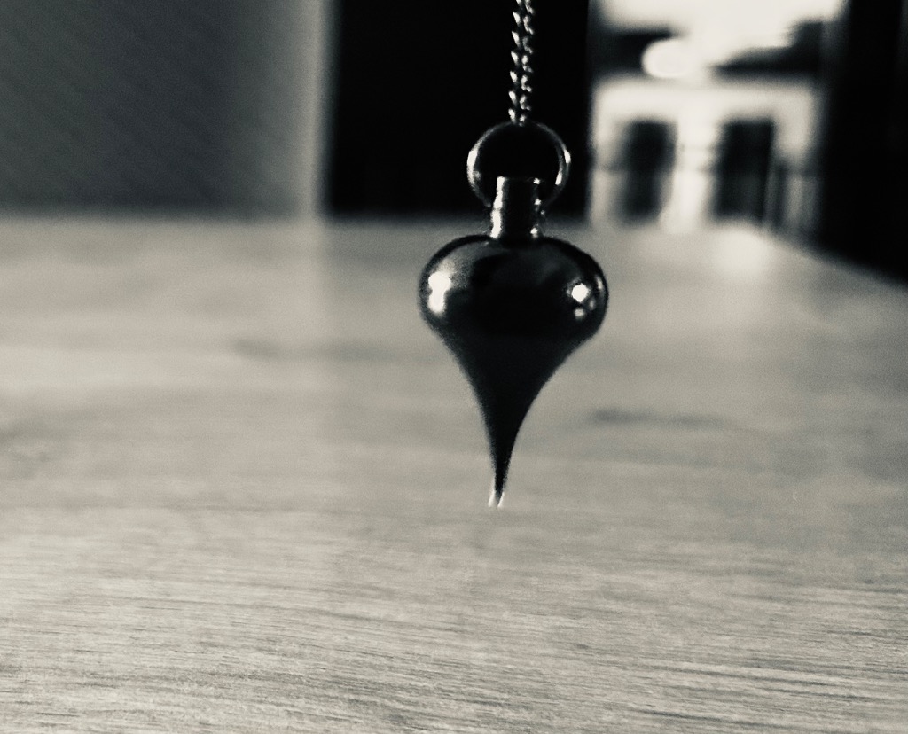 photo activite Mickael bonnet 