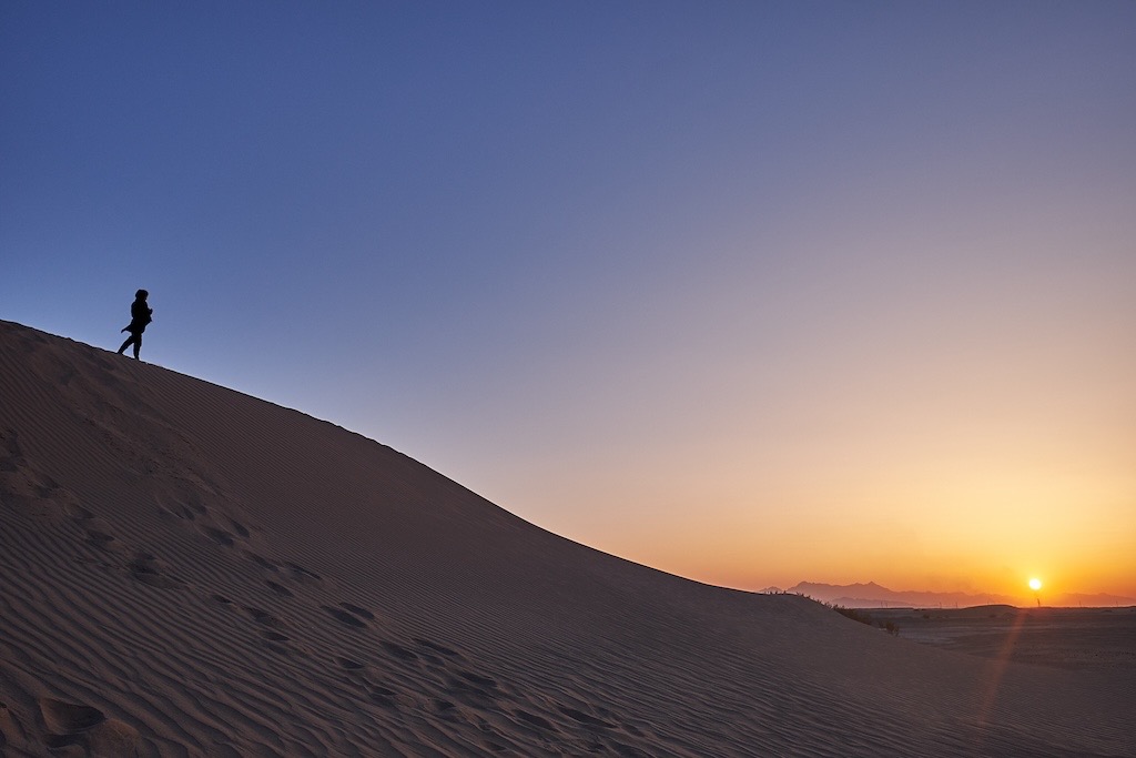 photo activite Alexis Eloy