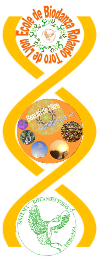 photo activite ROULIN PRAT Paula