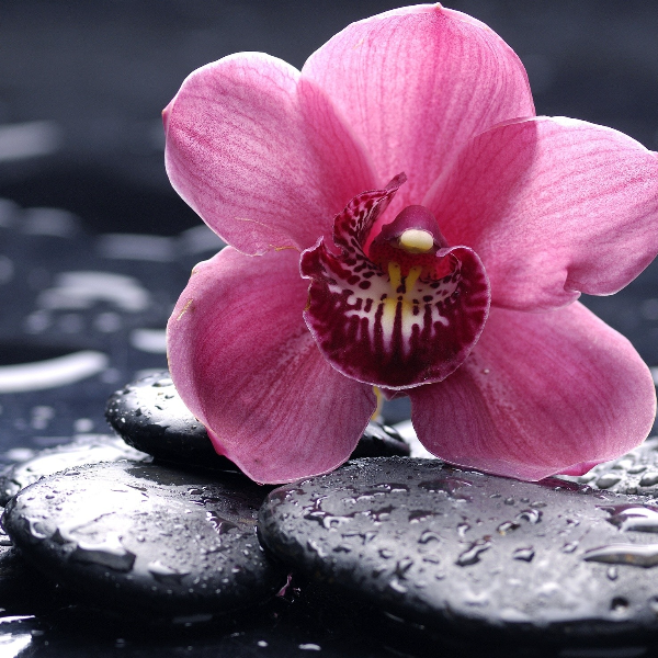 Une bouffée d’oxygène