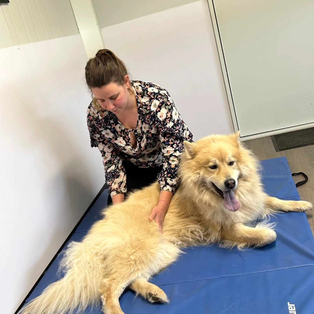 photo seance Léa Fonteneau Baudry