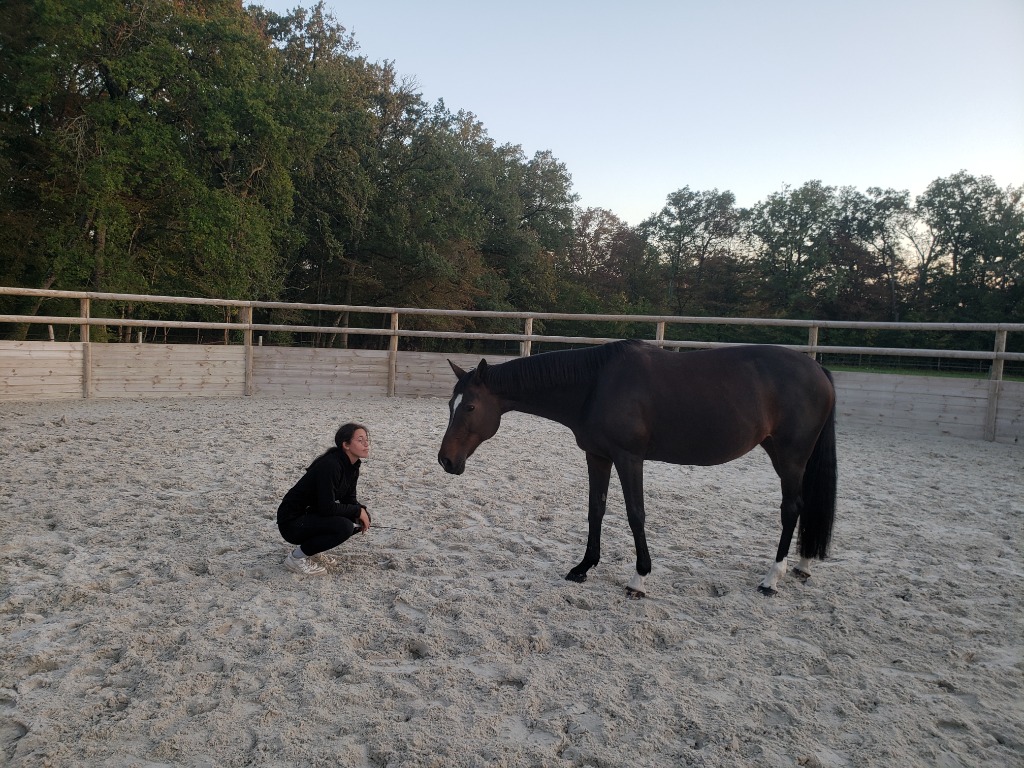 photo activite Alexandra GAUVRIT