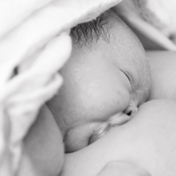 Amandine Naissances Infinies