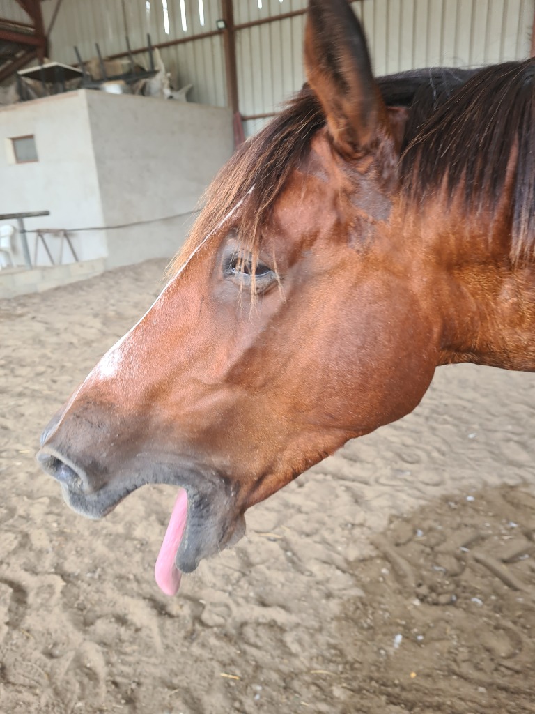 photo seance Hayley fadel sheppard