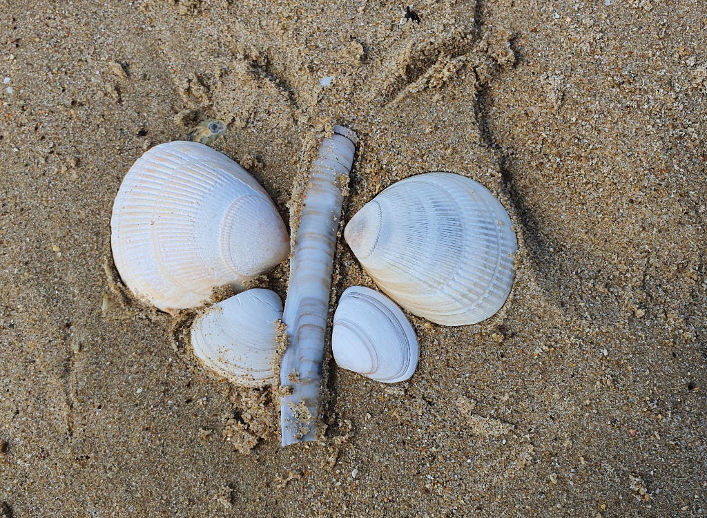 photo portrait Aurélie Gazagne 