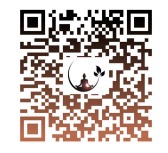 photo cabinet LAETITIA BIERO