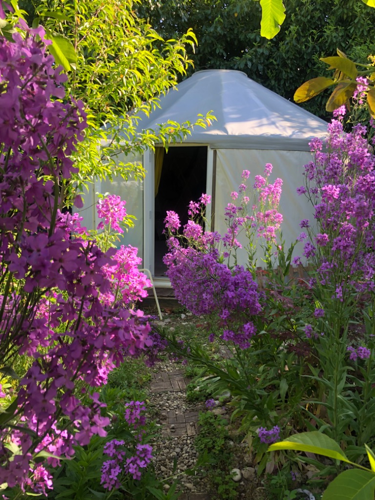 photo cabinet Lechomadi