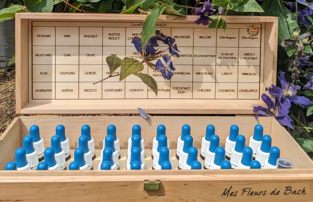 photo activite Alexandrine Louvieaux