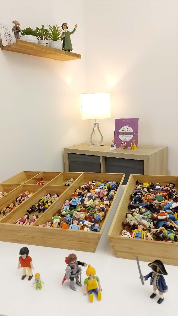 photo activite Laurent GUIMARD