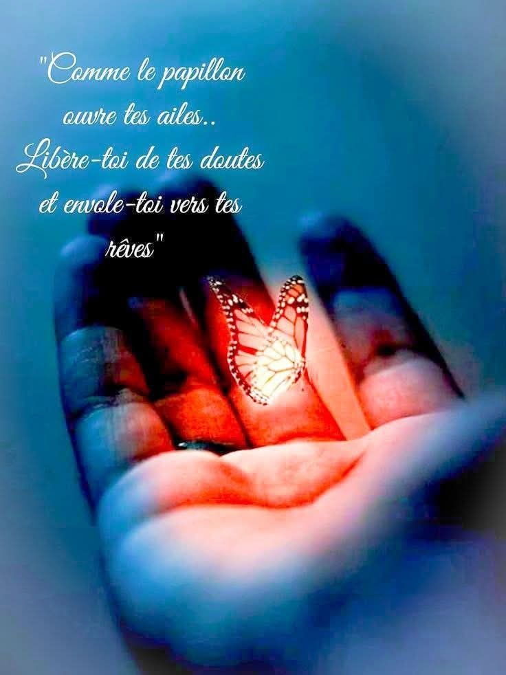 photo cabinet Natacha Boutrif 