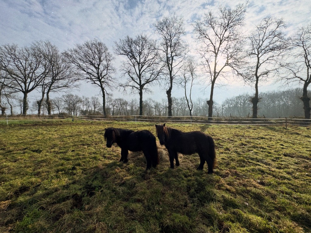 photo cabinet Alexandra Chesnel