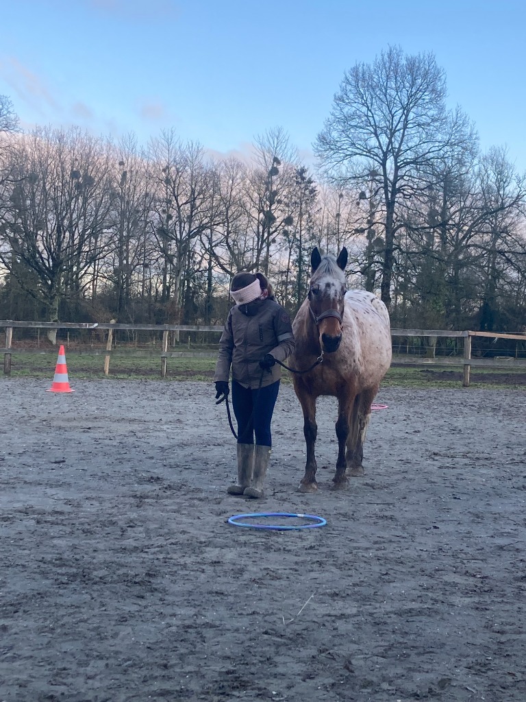 photo seance Alexandra Chesnel